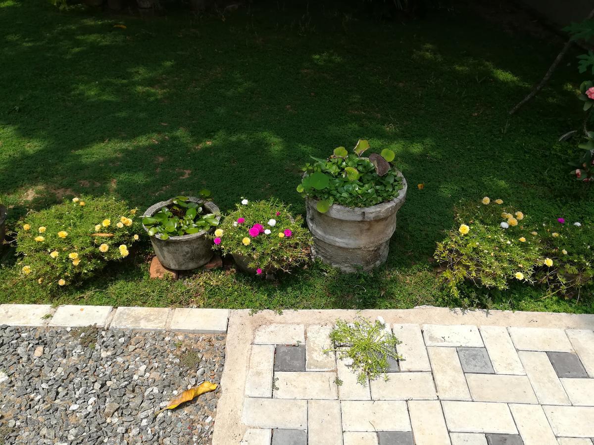 فندق Sea Breeze بينتوتا المظهر الخارجي الصورة